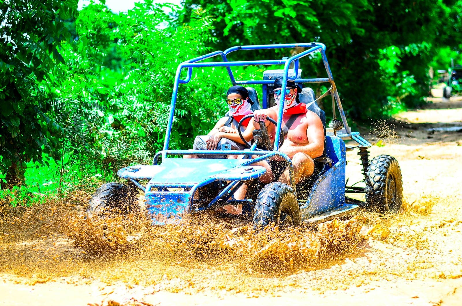 Buggy Individual